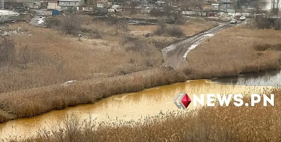 Dozens of Tons of Sunflower Oil Pollutes Major River in Ukraine After Russian Drone Attack