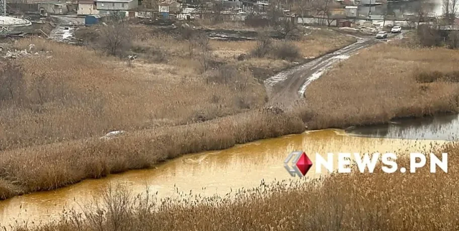 Tons of Sunflower Oil Pollute Major River in Ukraine After Russian Drone Attack