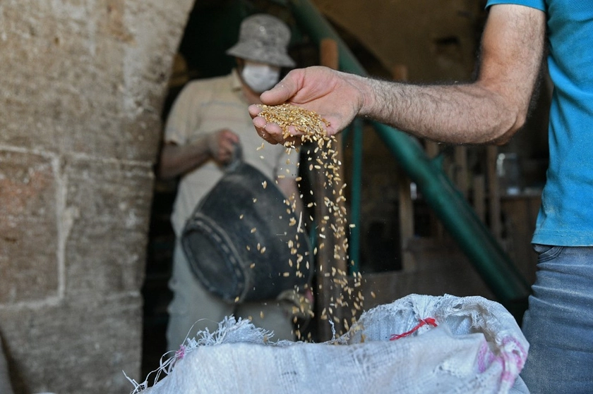 Syria Received 500 Tons of Flour Under the UN Program – First Time Since Assad Regime Fell