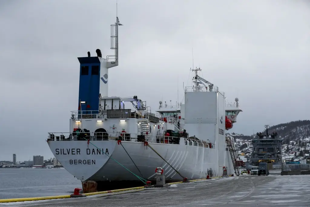 Norway Seizes Russian-Crewed Ship over Suspected Cable Damage