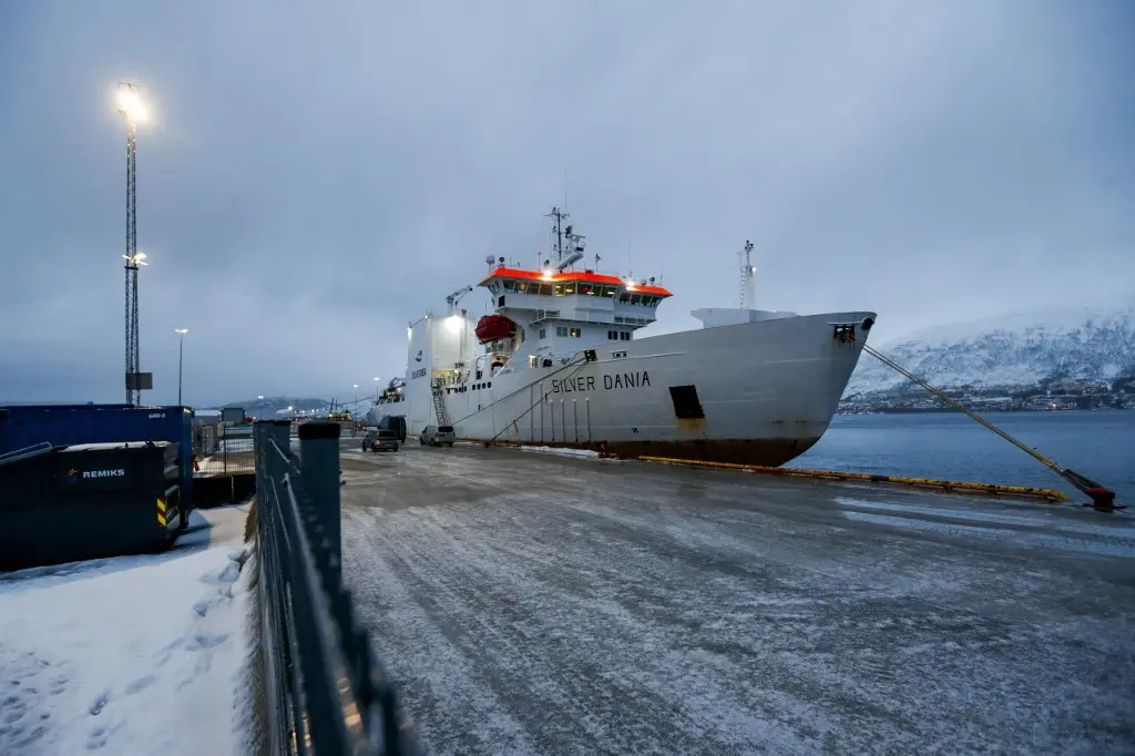 Norway Releases Russian-Crewed Ship After Cable Damage