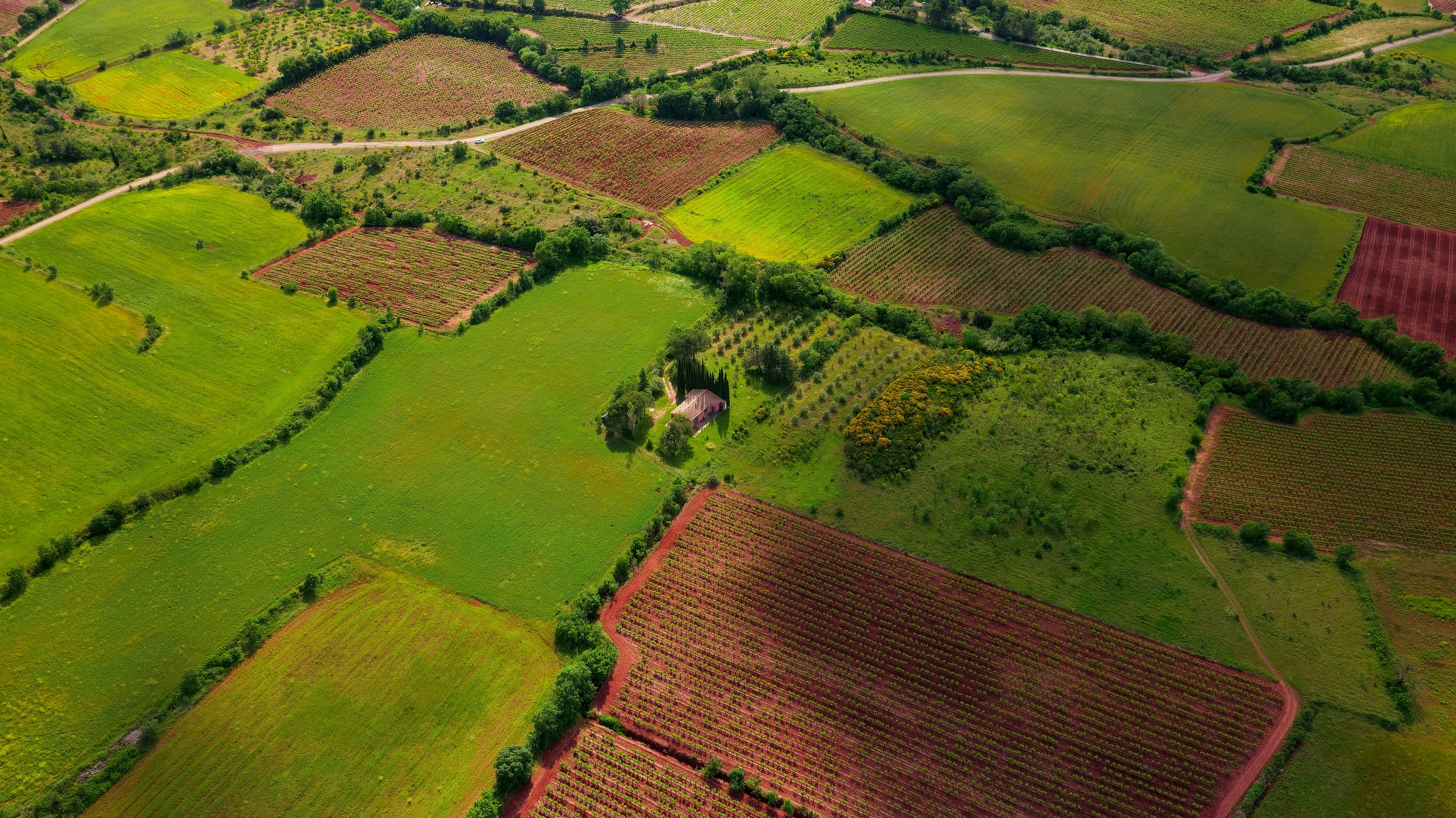 Ukraine Leased Agricultural Land for $14.2 Million During Last Half of 2024