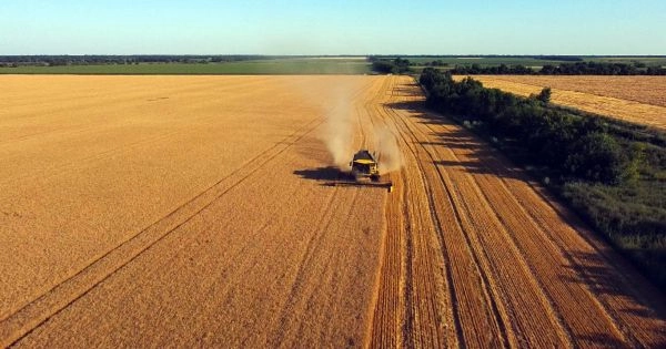 В Україні скоротилася кількість компаній-власників великих земельних банків