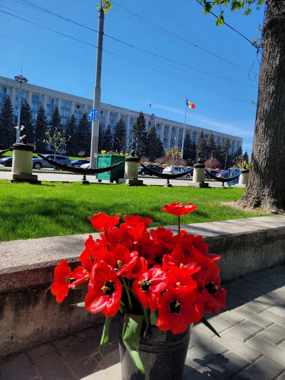 Кишинів. Фото надане героїнею