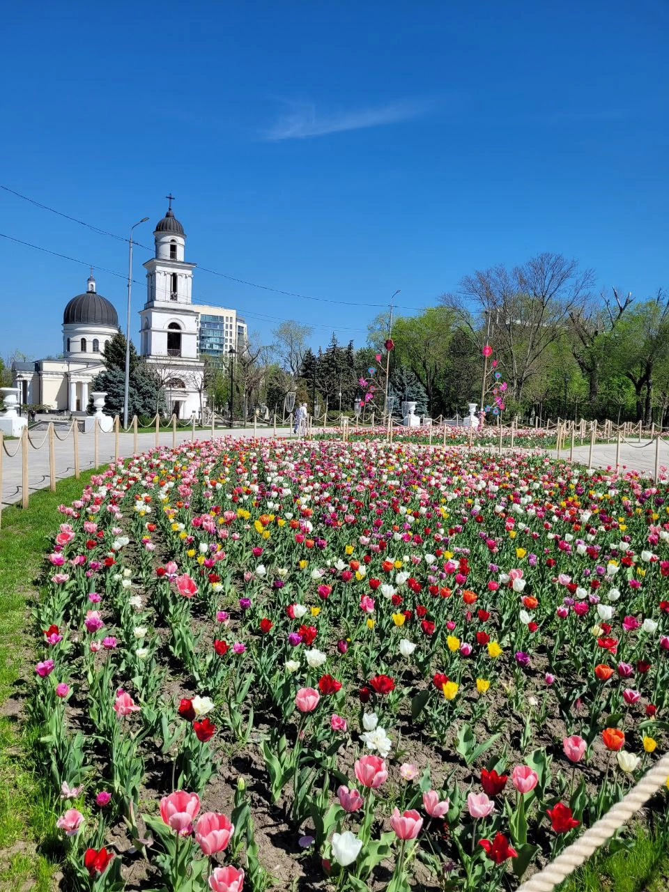 Кишинів. Фото надане героїнею