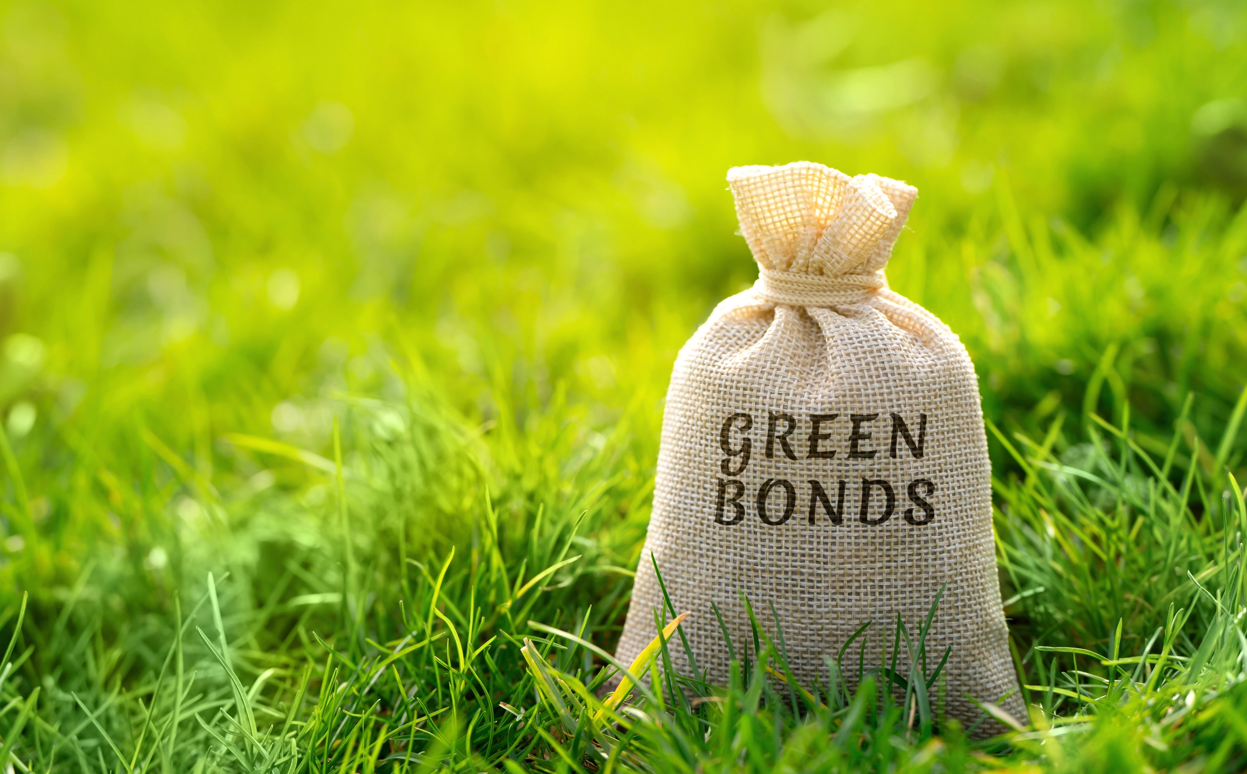 Ukraine Passes Another Debt Restructuring Milestone – Ukrenergo Agrees New Creditors’ Bond Terms