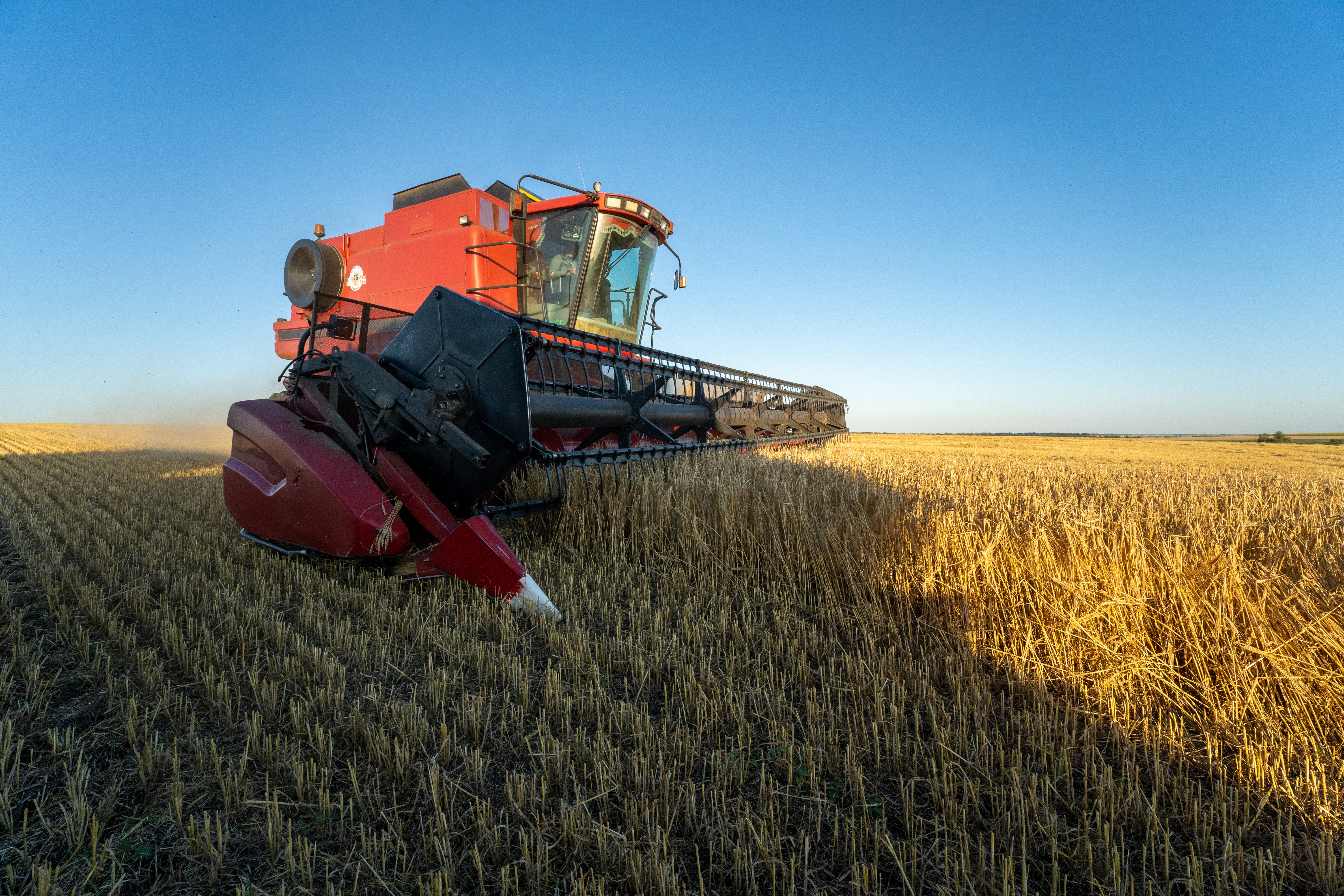 Grain Exports From Ukraine Sharply Fell Below 2024 Levels