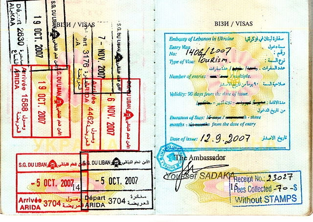 Ukraine Might Scrap Visa Requirements for Volunteers During Martial Law