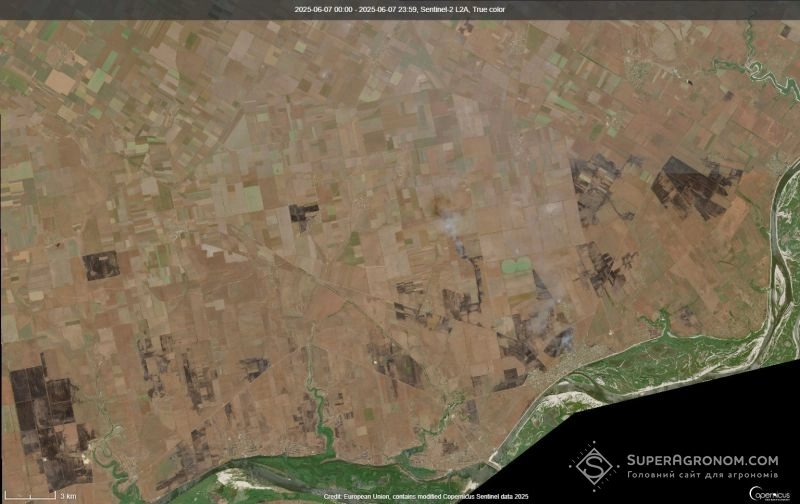 Russia Burned 15,000 Hectares of Fields in Kherson Region With Drones, Damaging Crops