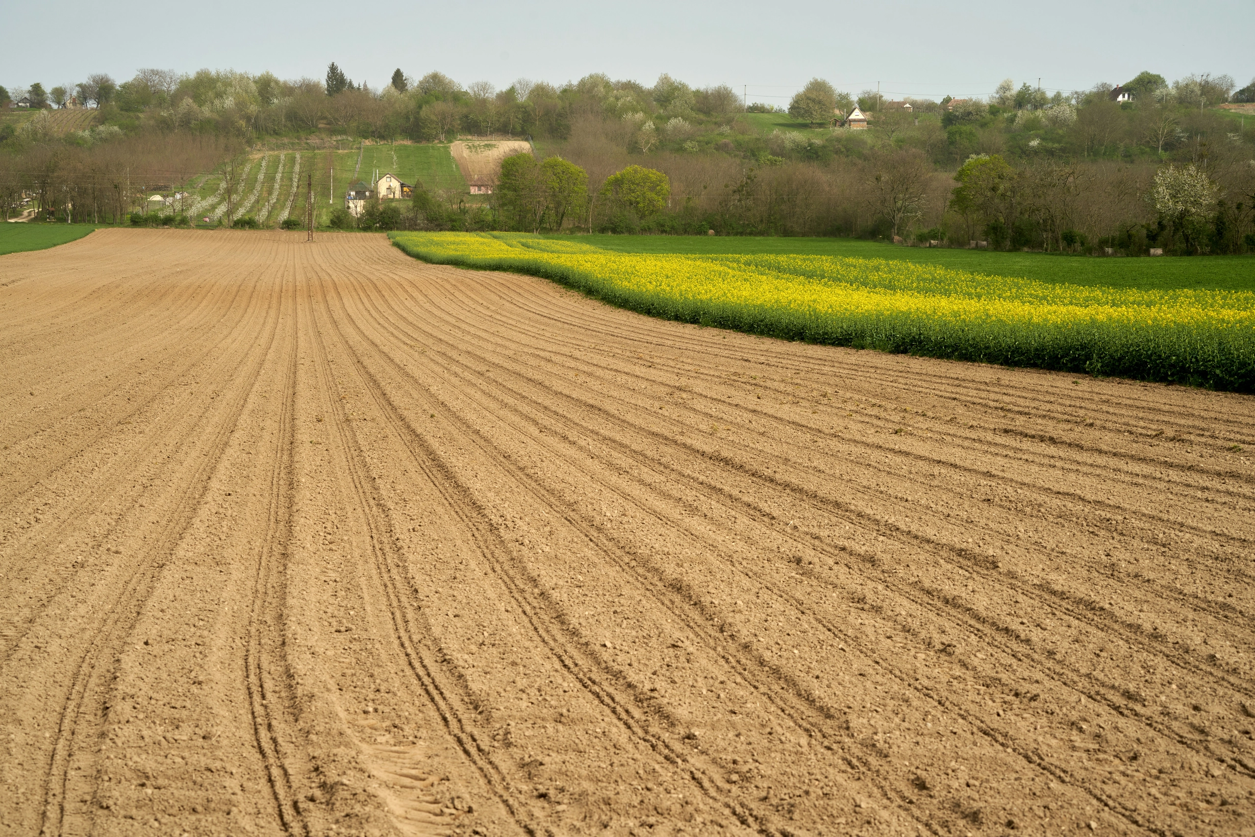 Agricultural Cooperatives: The Next Driver of Economic Resilience During Ukraine’s Recovery