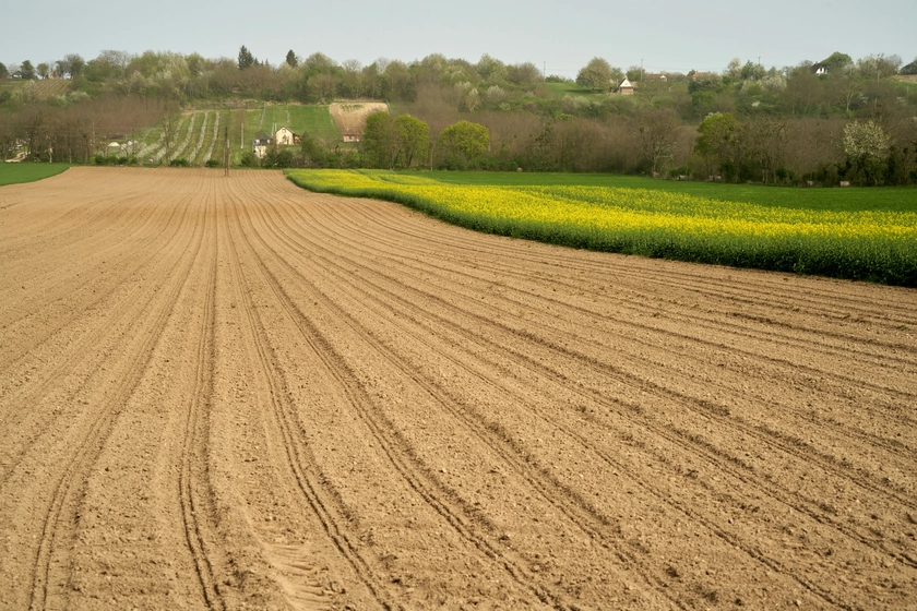 Agricultural Cooperatives: The Next Driver of Economic Resilience During Ukraine’s Recovery
