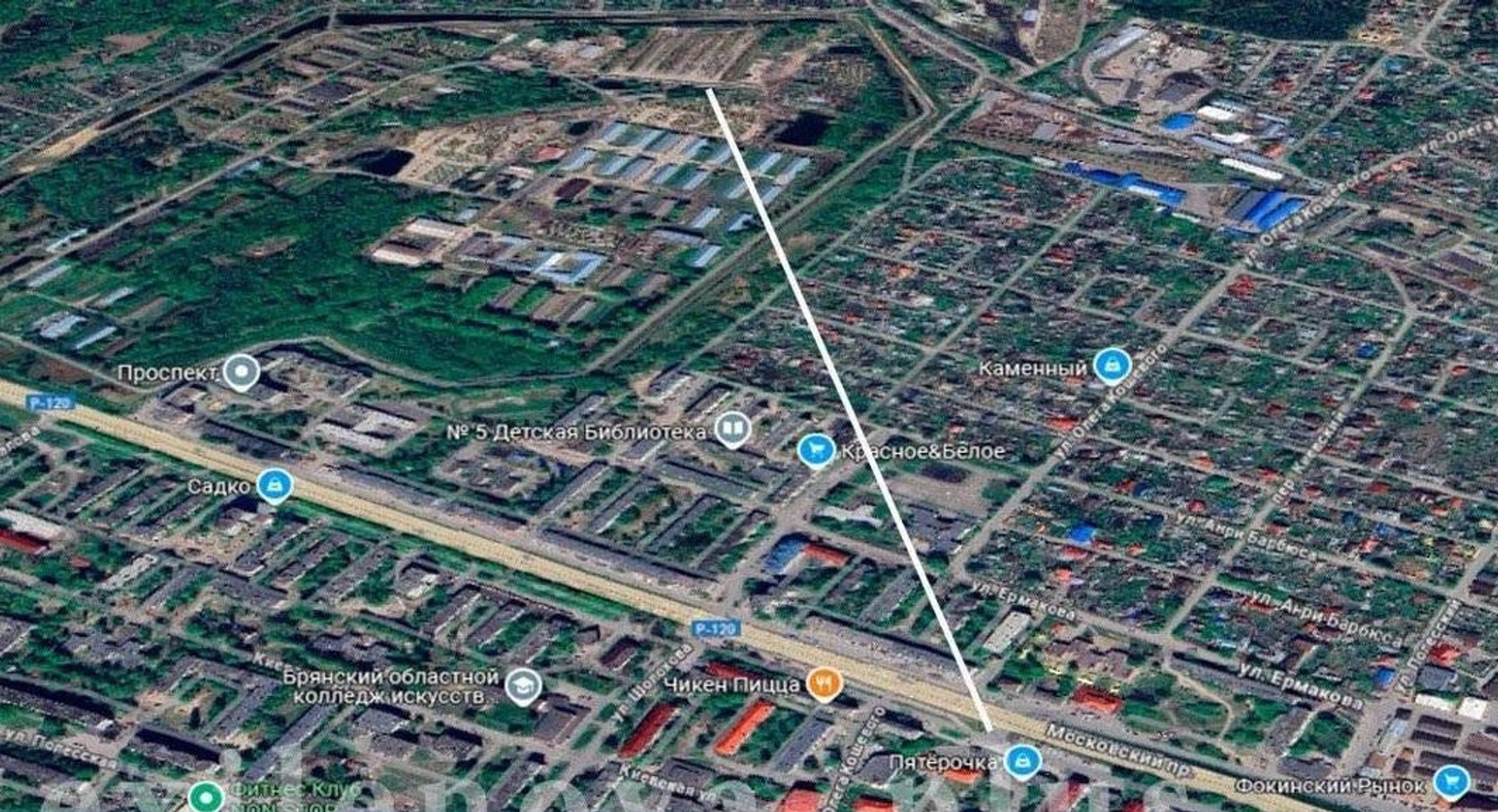 HUR Drones Batter Military Arsenal in Russia to Celebrate Ukrainian Constitution Day