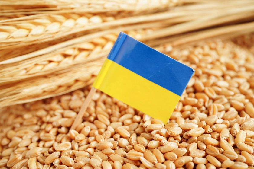 ЄС збільшив квоти на українську пшеницю, цукор та ячмінь