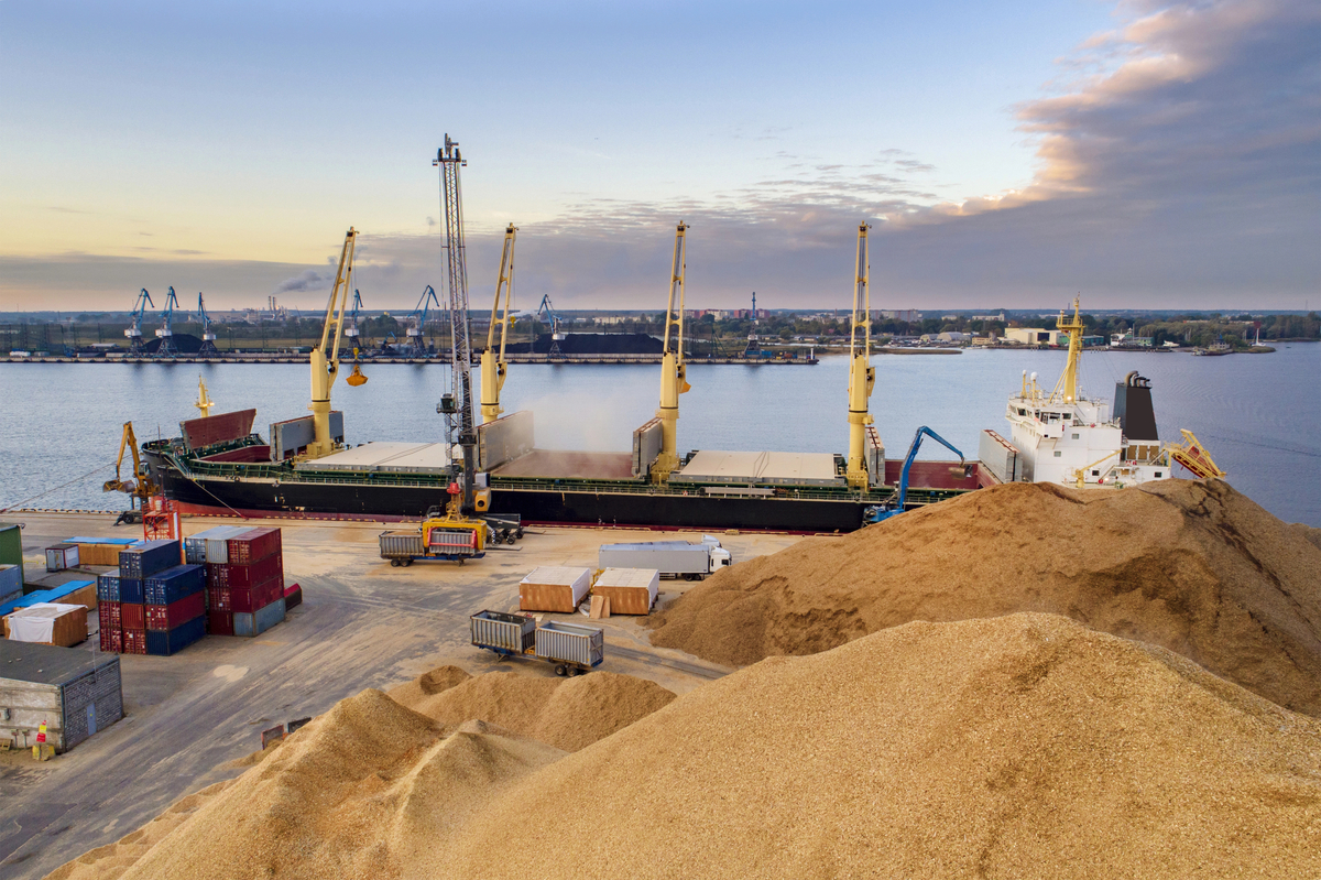 Russian Branch of Danish Company Helps Ship Grain From Occupied Ukrainian Port – Investigation