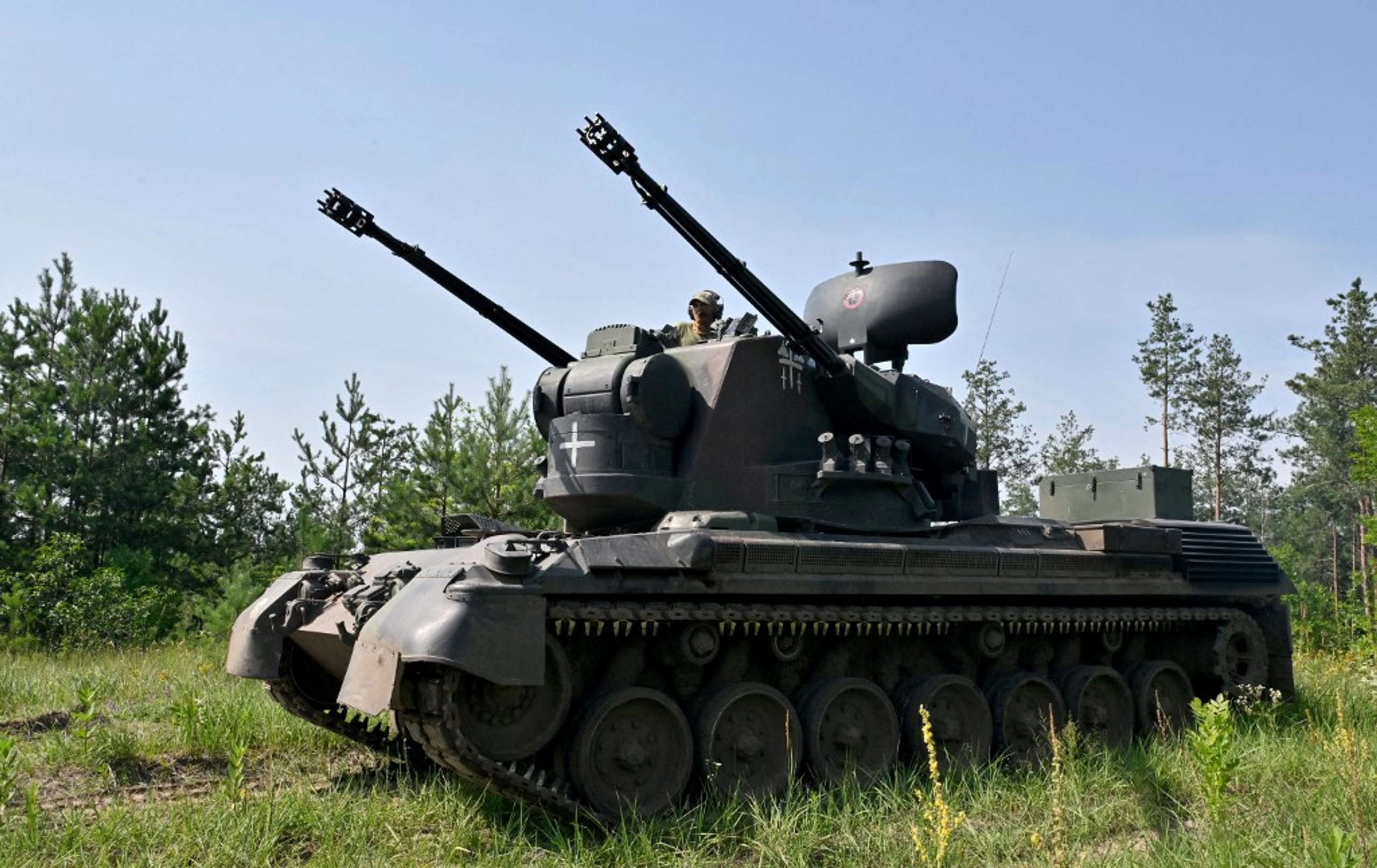 We Got Every ‘Cheetah’ from World’s Forests – Ukrainian Ambassador to Germany