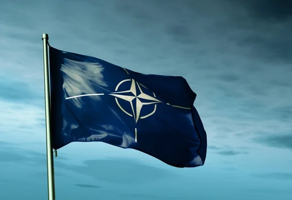 Стало відомо, скільки грошей внесли партнери в ініціативу НАТО для України