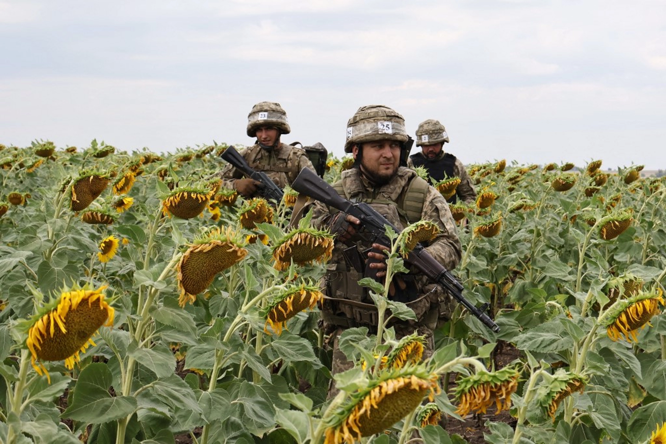 Ukraine Commemorates Fallen Defenders on Remembrance Day