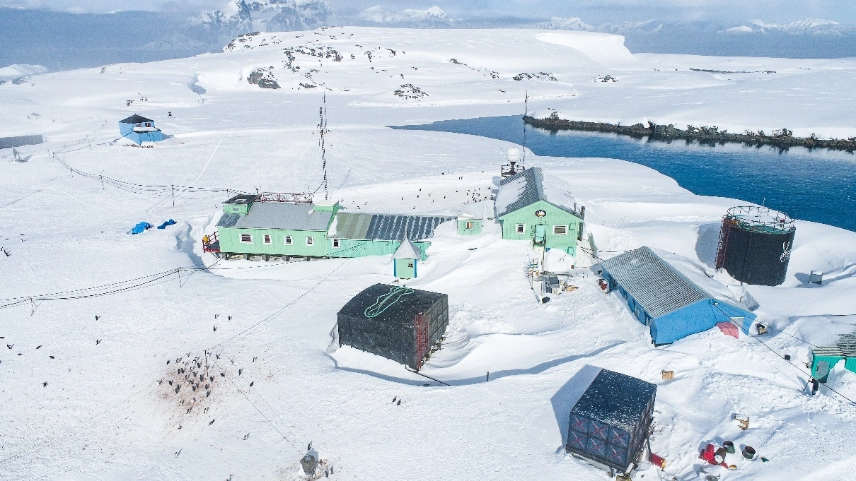 Ukraine in Antarctica. Part I: The Pony Whisperer