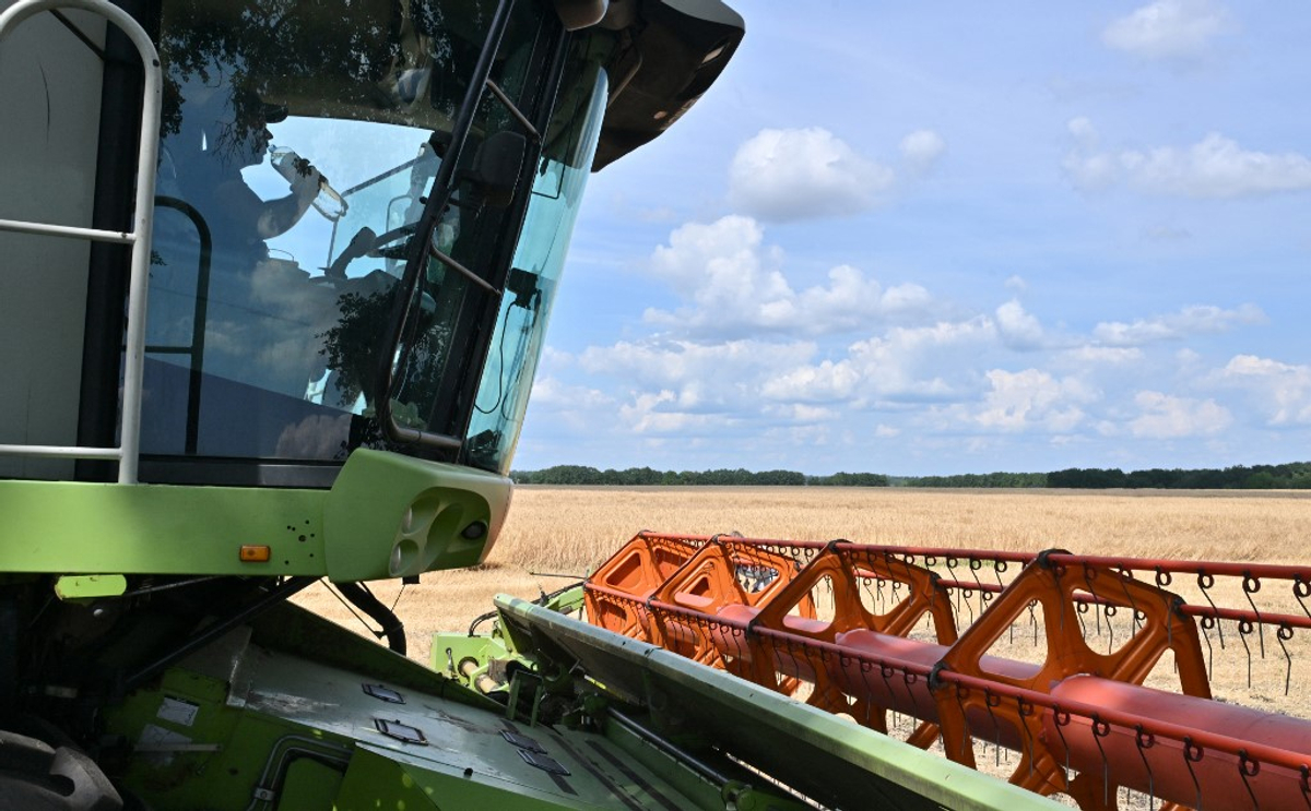Ukraine Diverts Sugar Exports From EU After Tariff-Free Trade Ends