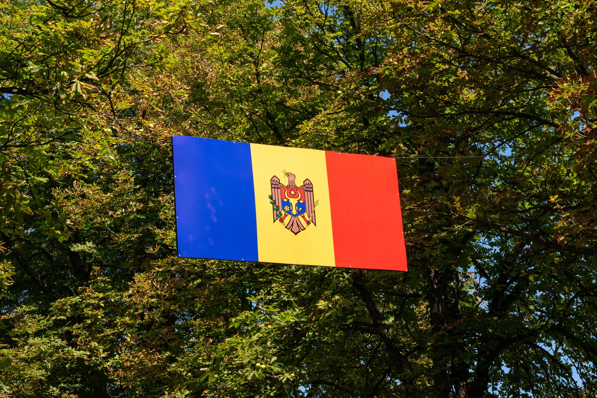 Молдова оголосила персоною нон грата співробітника посольства Білорусі