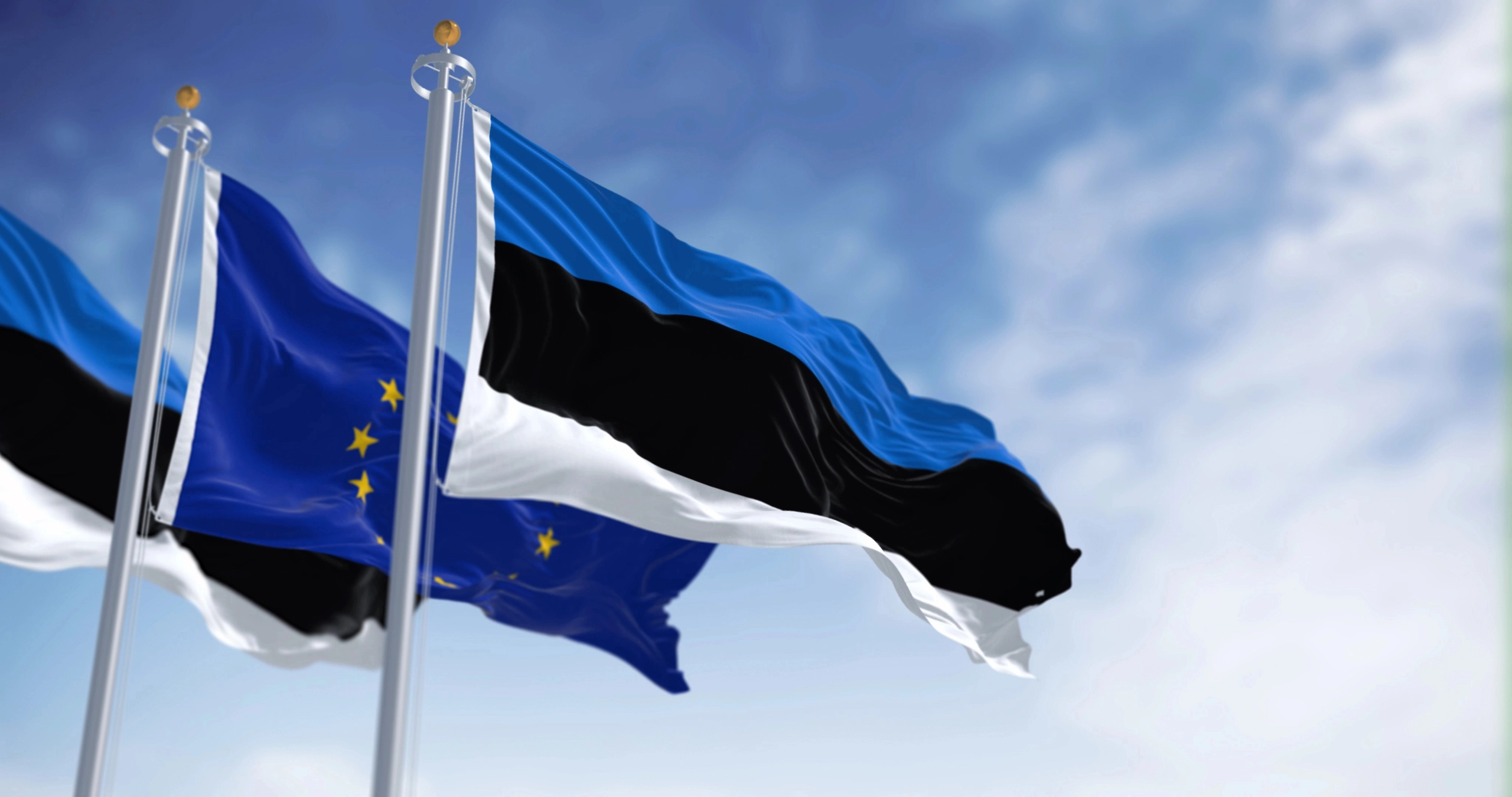 Естонія тимчасово закрила повітряний простір на кордоні з РФ