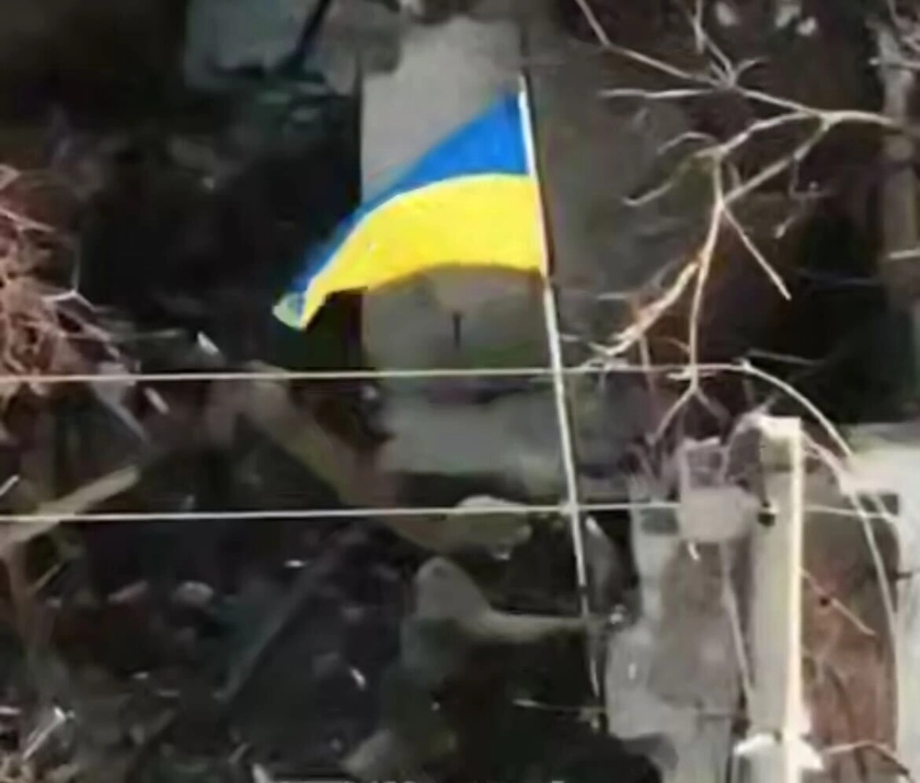 Українські десантники звільнили Кучерів Яр на Добропільському напрямку