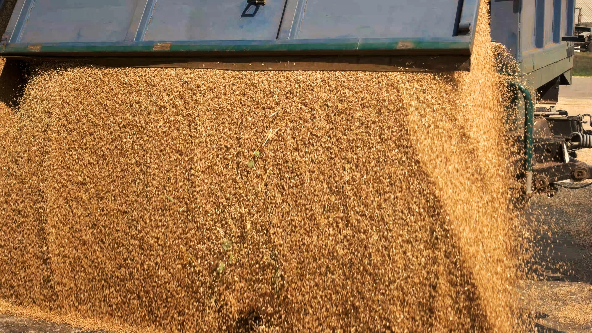 Заступнику міністра сільського господарства РФ оголосили підозру за крадіжку зерна з України