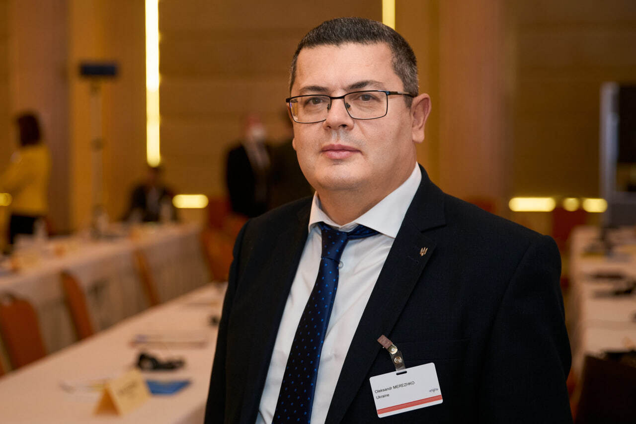 European Peace Plan Will Expose Putin's True Intentions – Merezhko