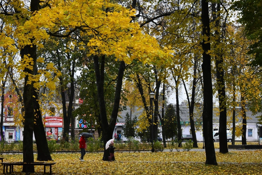 Plenty to Stir in the Witch’s Caldron