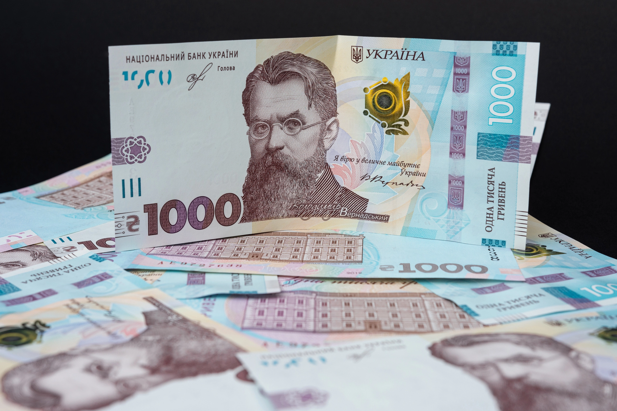 «Зимова тисяча» має надійти через 10 днів після заявки, - Зеленський
