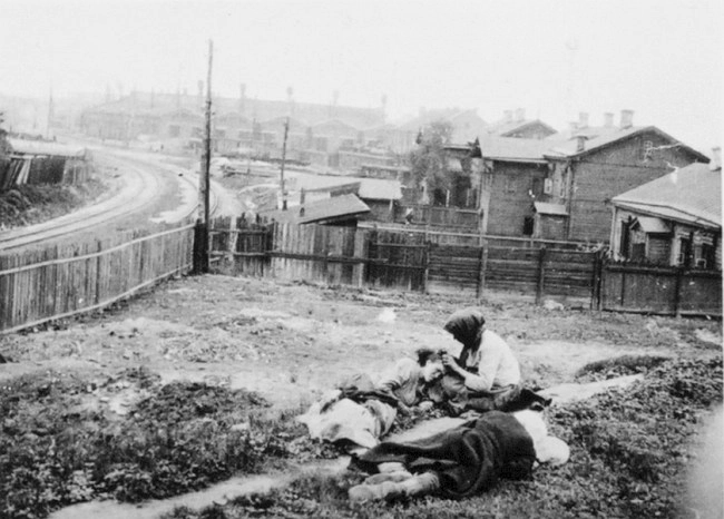 Yellow Prince, Black Earth: Vasyl Barka’s Classic Holodomor Novel