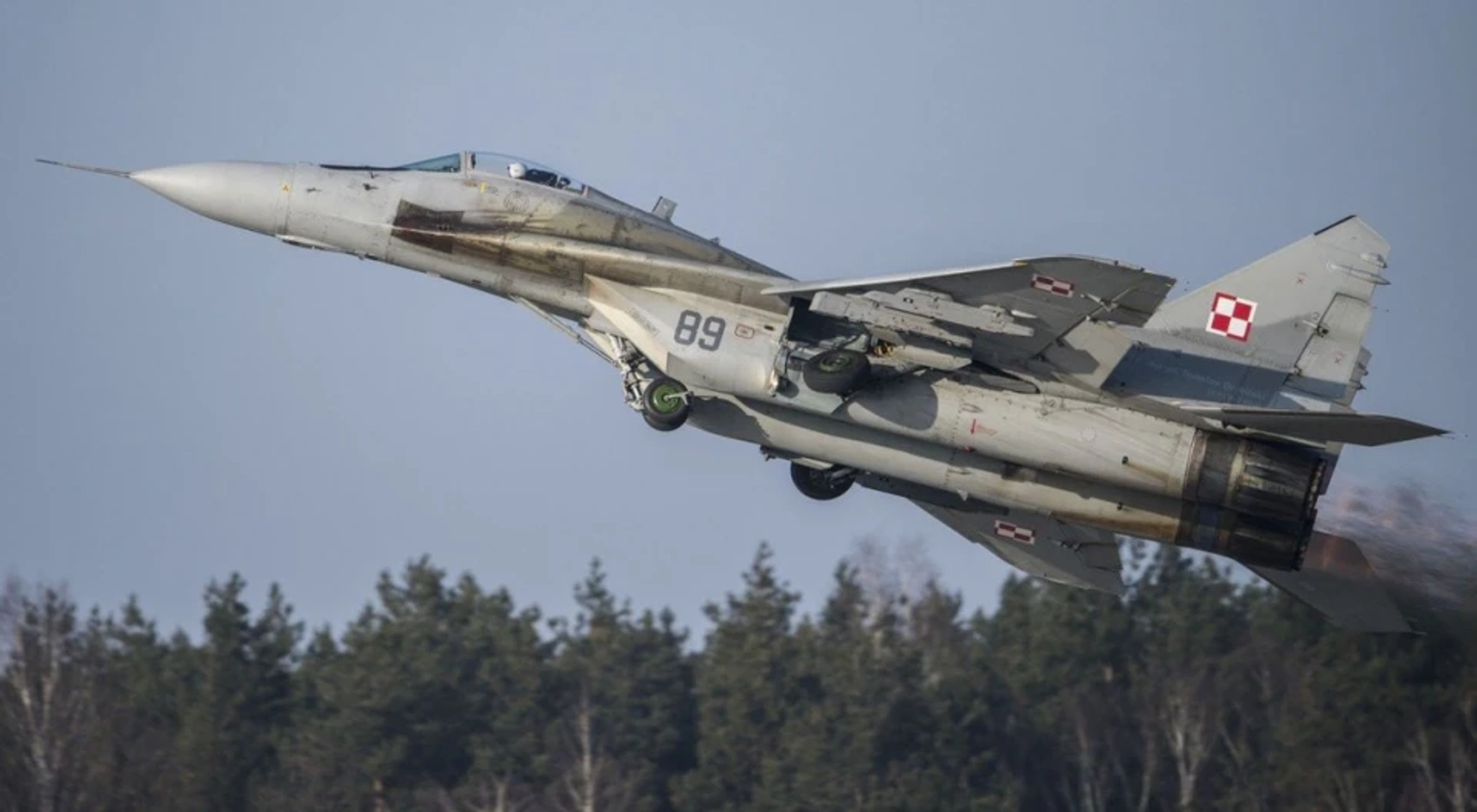 Стало відомо, скільки винищувачів МіГ-29 Польща планує передати Україні