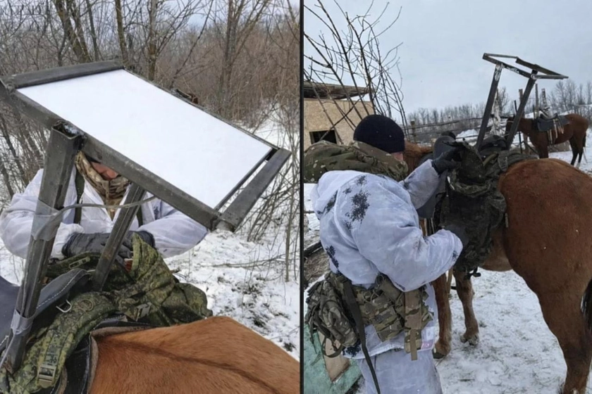 Russian Troops Strap Starlink Terminals to Horses as Russian Cavalry Makes ‘Historic’ Return