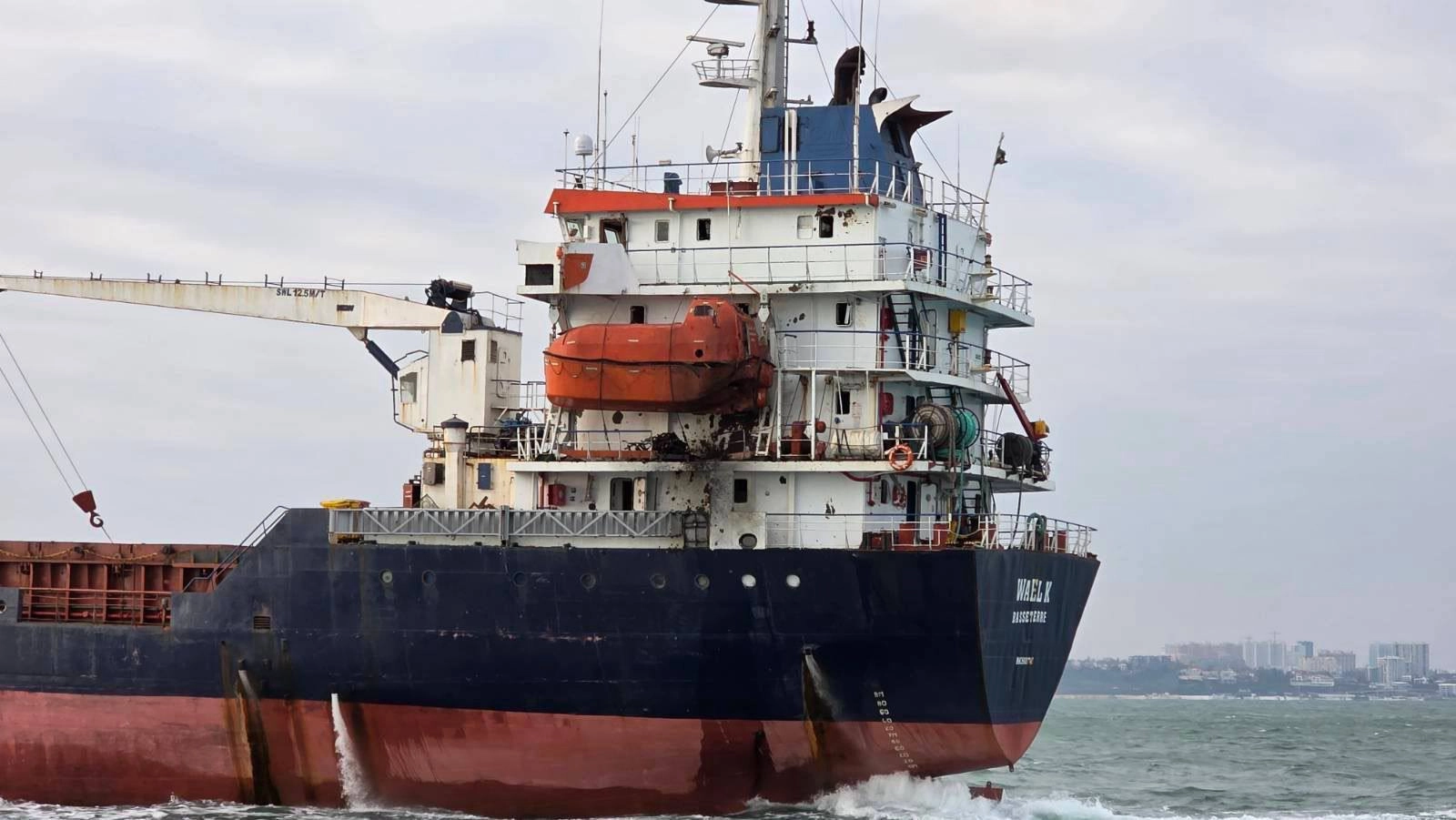 Kyiv Reports Russian Strikes on Black Sea Cargo Ships, Syrian Crew Member Killed