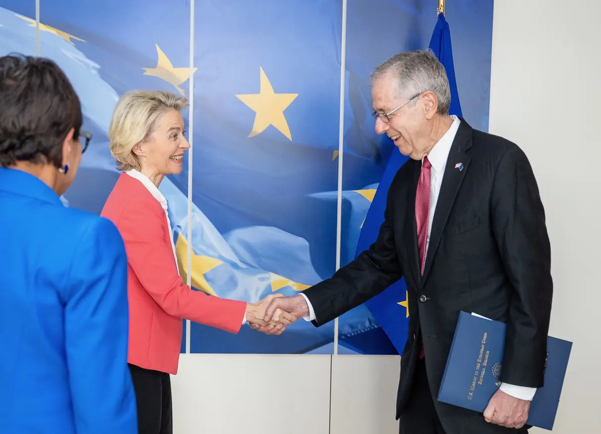 EU Unity Key in Greenland Crisis, Says Former US Envoy