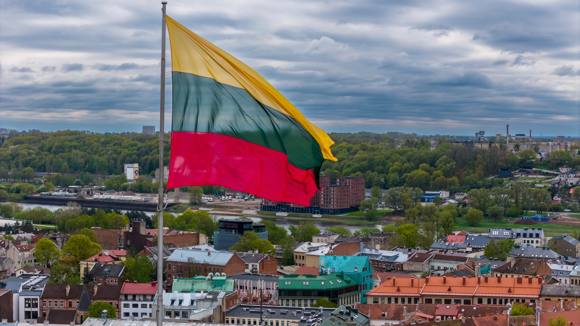 У Литві підтвердили, що на території країни впав український дрон
