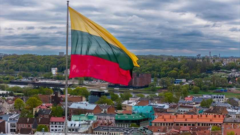 У Литві підтвердили, що на території країни впав український дрон