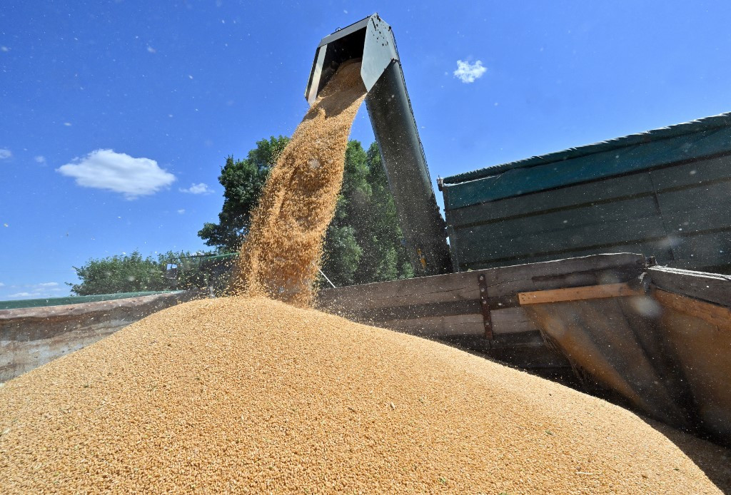 Surge in Global Energy Prices Threatens to Slash Ukraine’s Agricultural Exports