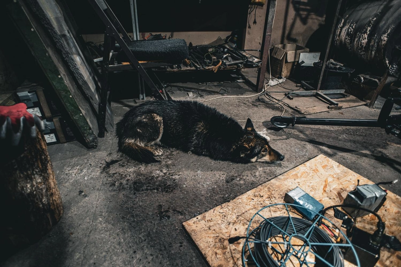 Роботів, що змінюють ситуацію на передовій , створюють  поблизу Харкова, фото-7