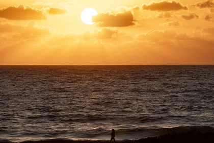 أوكرانيا تفتتح أول مركز زراعي أفريقي في غانا لتعزيز الأمن الغذائي