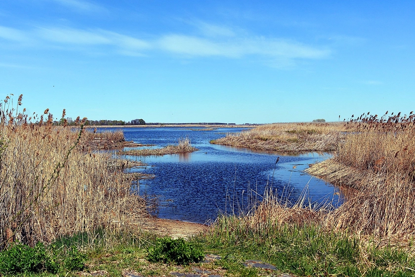 Russian Troops Refuse Island Deployments on Dnipro River
