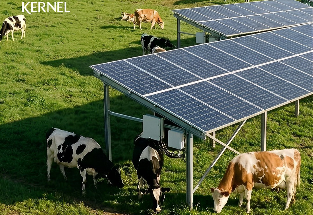 Kernel Secures $45M EBRD Loan to Build Solar Power Plant