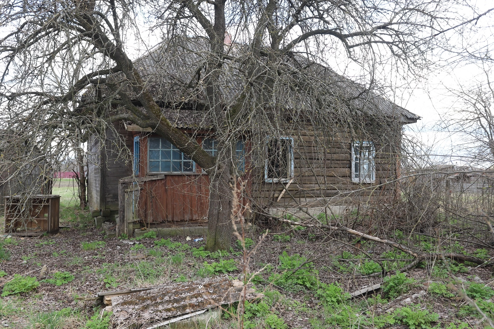 Beyond the Chornobyl Exclusion Zone: How Life There Endures Today?