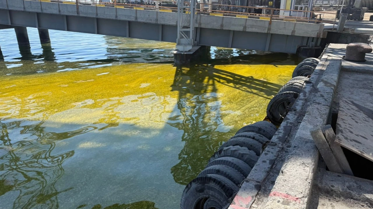 У Чорному морі утворилася величезна пляма соняшникової олії через обстріл порту