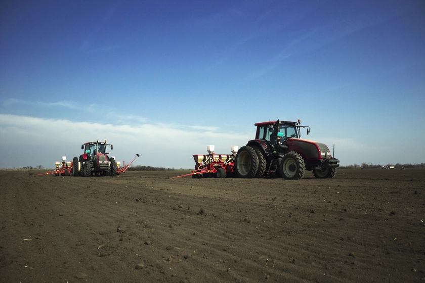 Epicentr Agro Launches Sugar Beet Production, Debuts in Western Ukraine