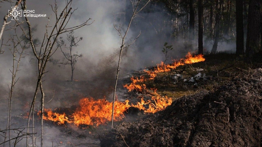 У Чорнобильській зоні продовжують гасити масштабну лісову пожежу
