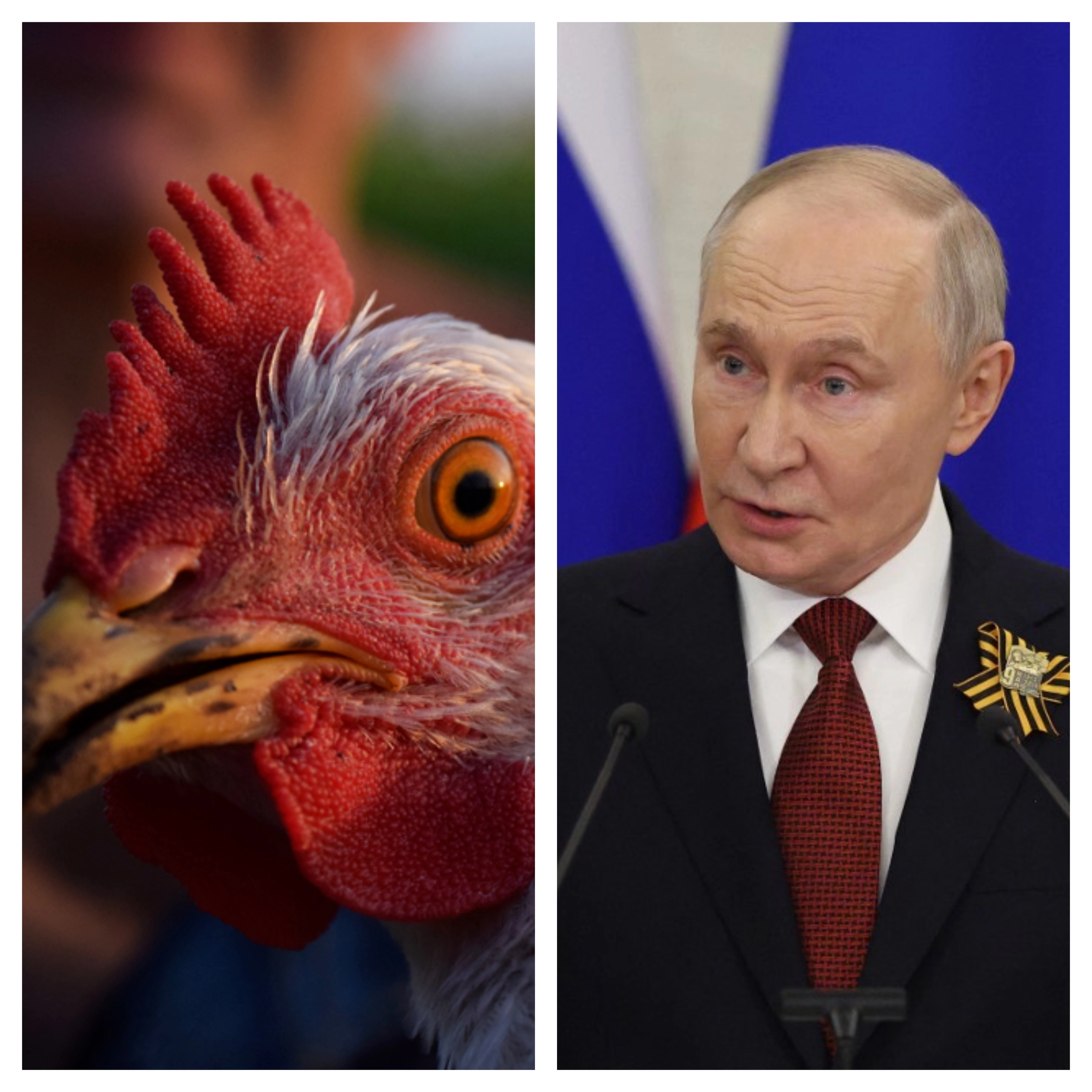 The Armenian Connection
