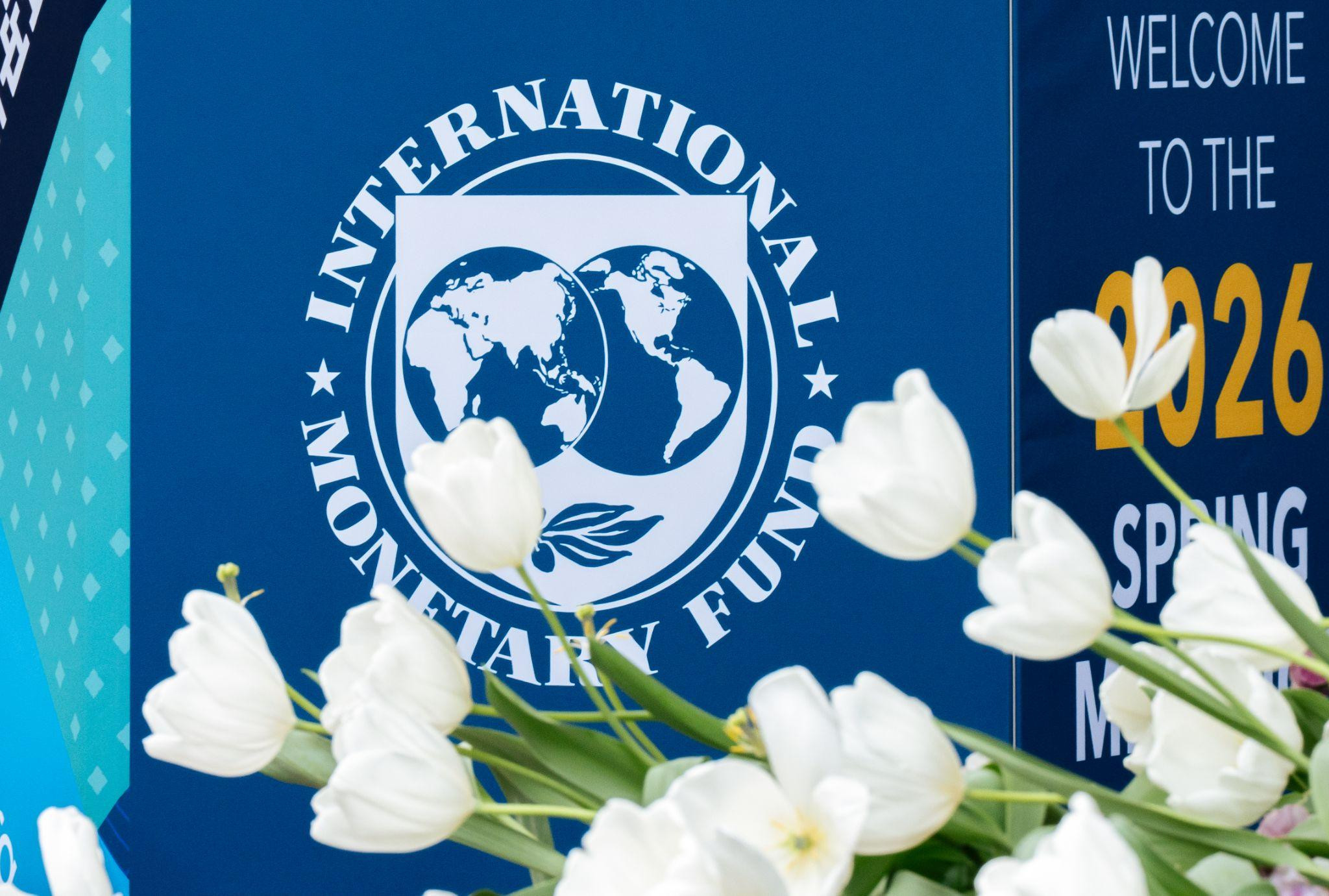 IMF Mission Arrives in Kyiv as Key Reforms Stall