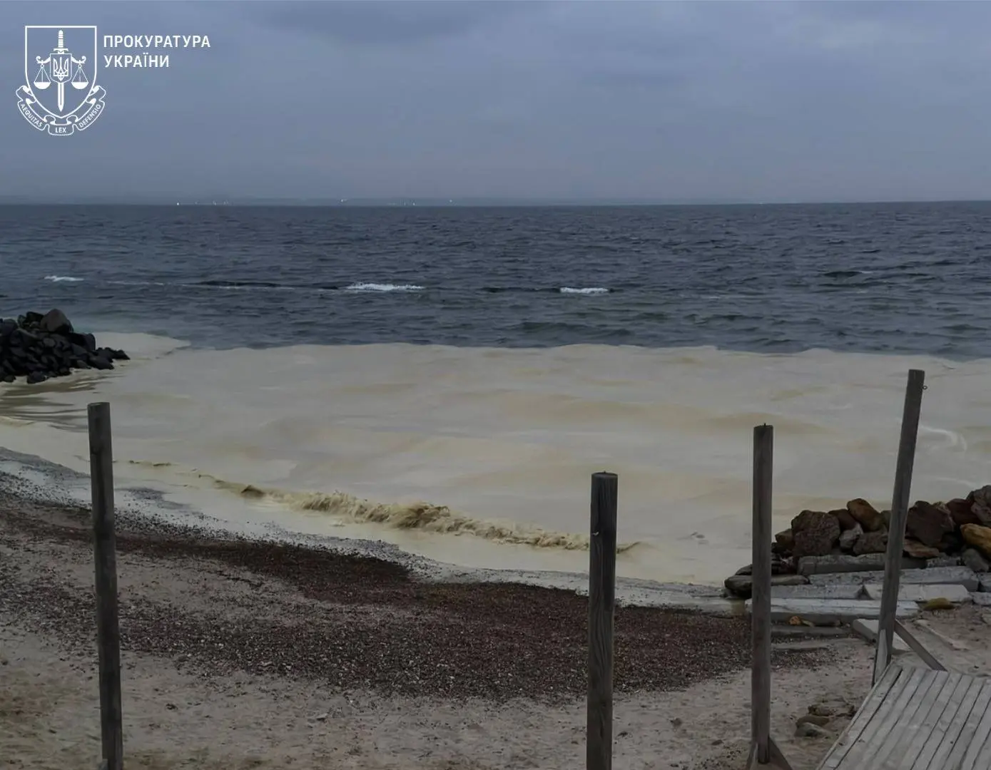 Війна забруднює Чорне море: екологи пояснили небезпеку потрапляння олії у воду