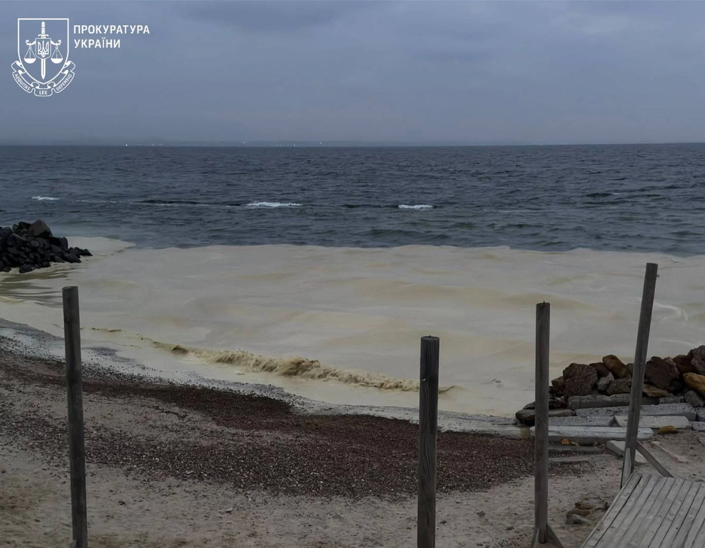 Війна забруднює Чорне море: екологи пояснили небезпеку потрапляння олії у воду